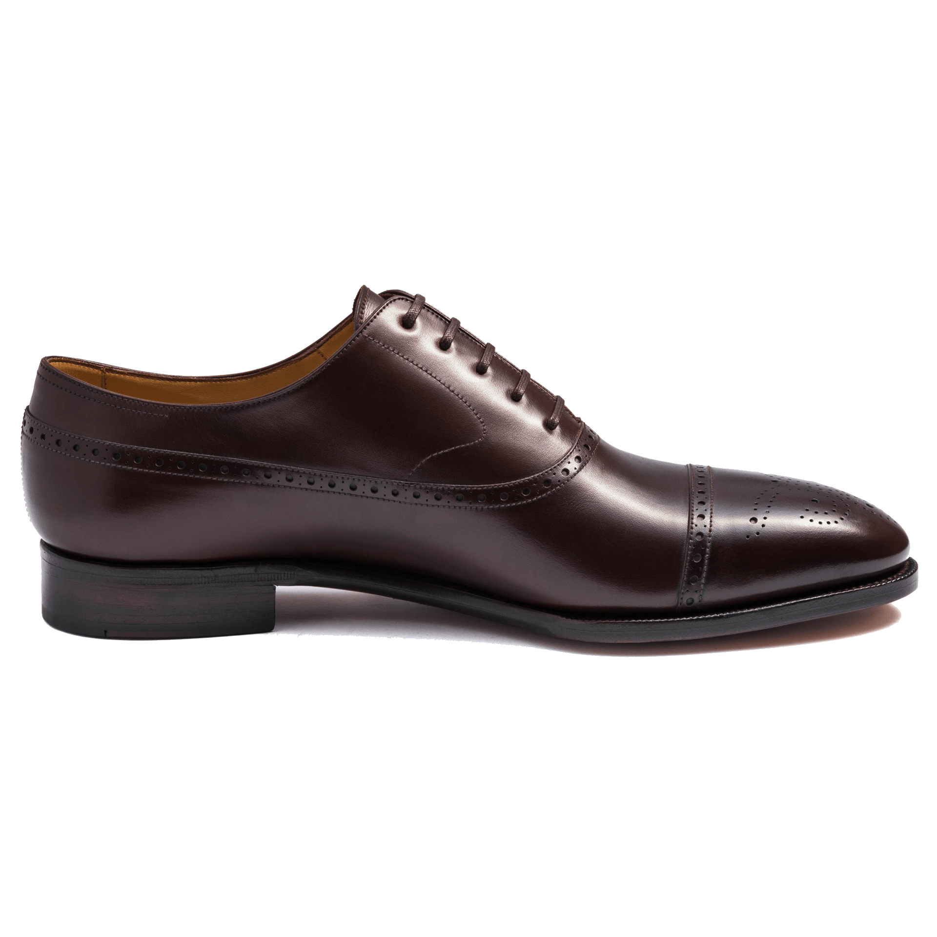 ARTISTA Semi Brogue Balmoral in Vegano Dark Brown