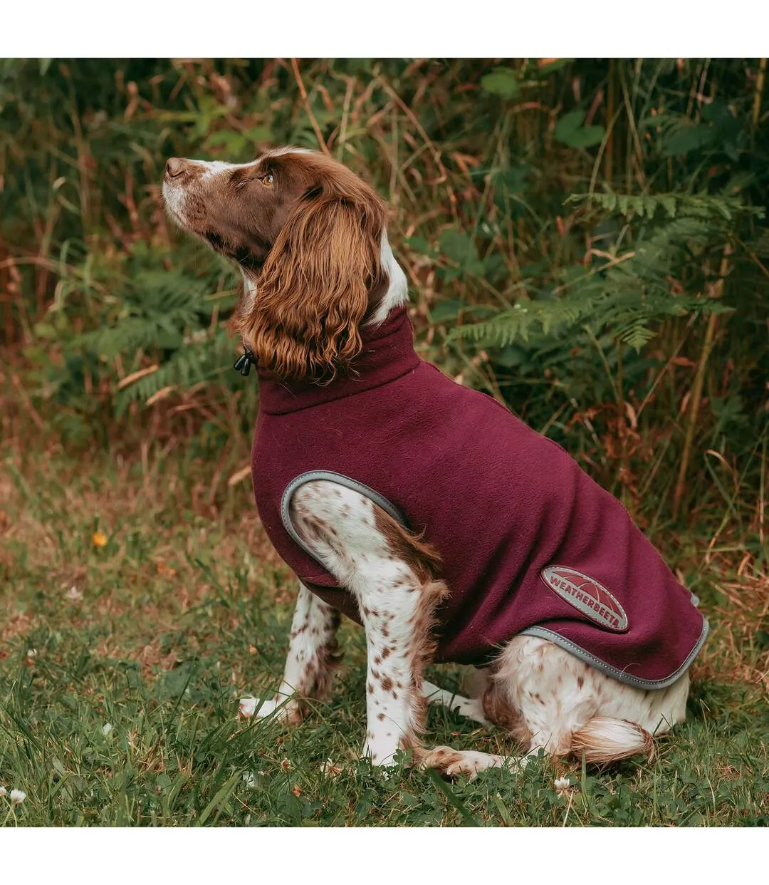 Comfitec fleece zipped dog jacket 50cm maroon/grey Weatherbeeta