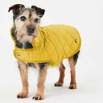 Joules Antique Gold Quilted Dog Coat | Kaleidoscope