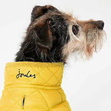 Joules Antique Gold Quilted Dog Coat | Kaleidoscope