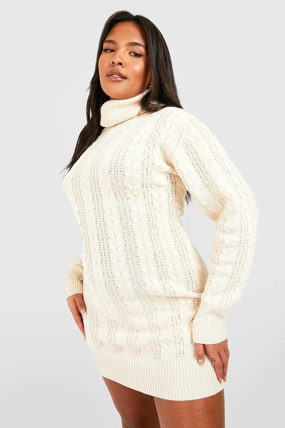 Plus Cable Knit Turtleneck Sweater Dress